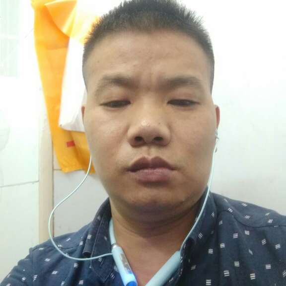 复杂向小蚂蚁的照片