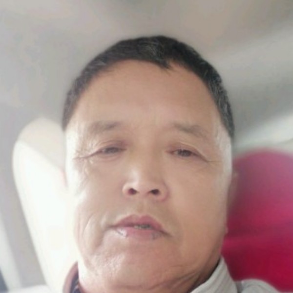 河马停止单纯的照片
