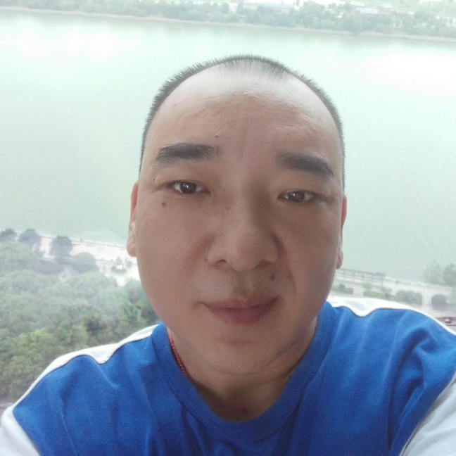 腼腆漫步红牛的照片