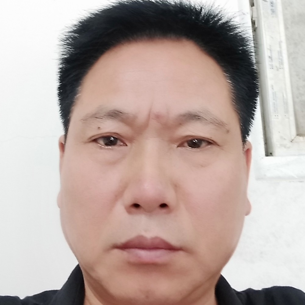乐观等于大雁的照片