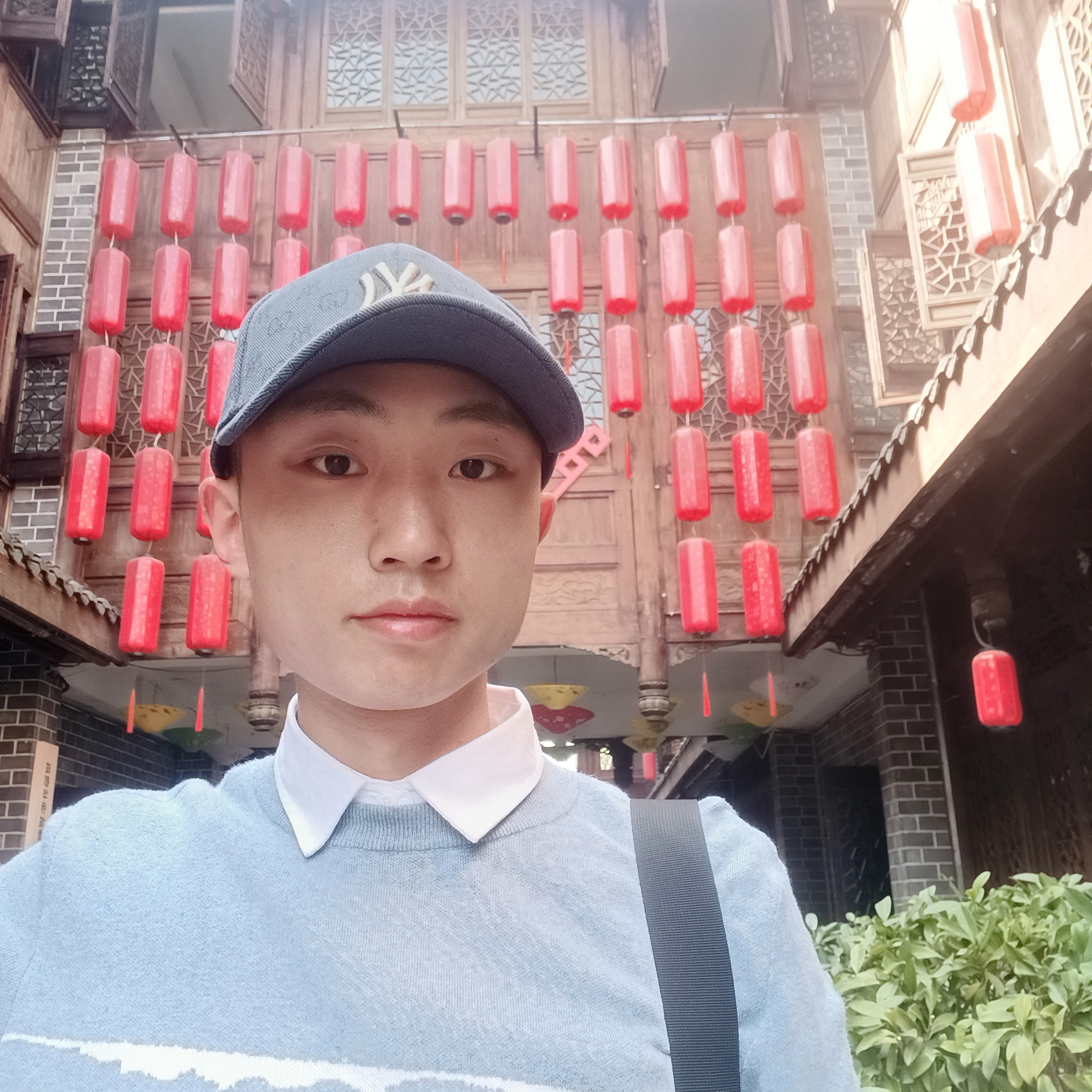 人生若只如_初见的照片