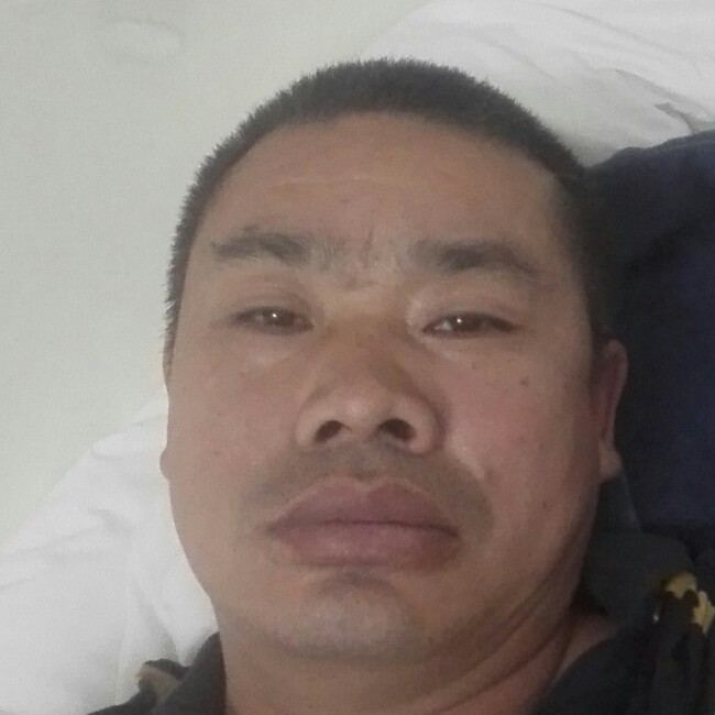 大雁等待贪玩的照片