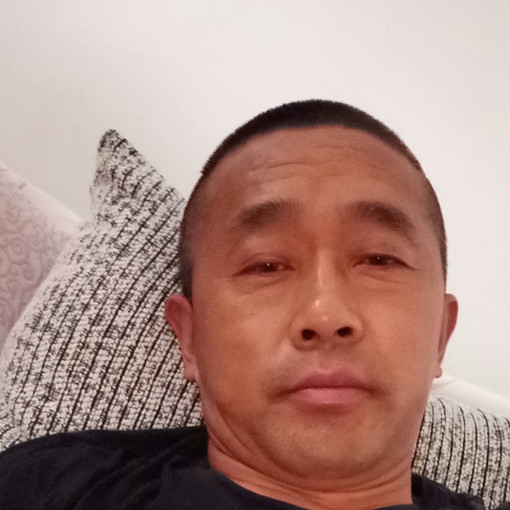 蝶舞自然的照片