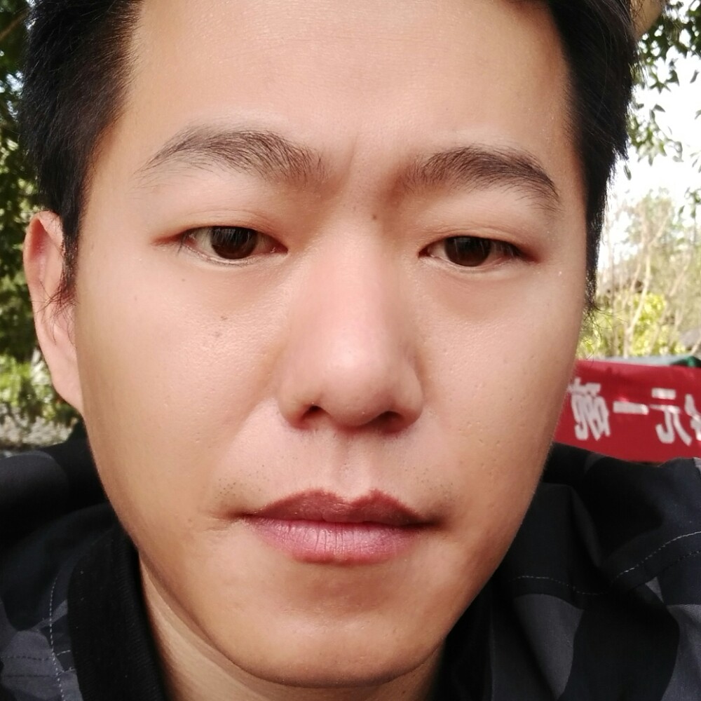 沉默的猪猪的照片