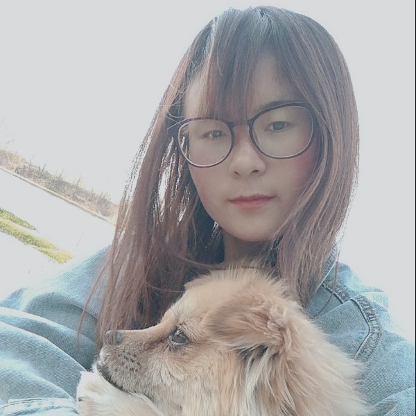 砖头孤独的照片