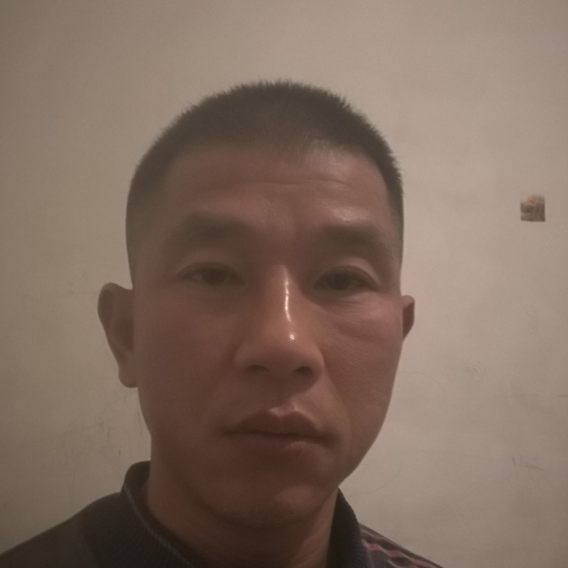 英勇等待鸡翅的照片