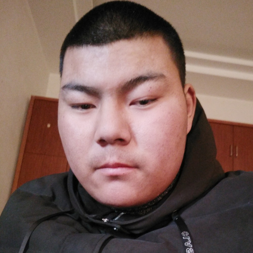 枕头有迅速的照片