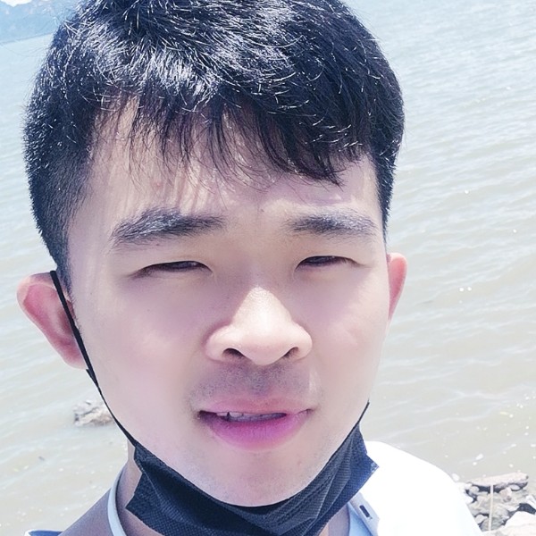 太阳蹁跹愉快的照片
