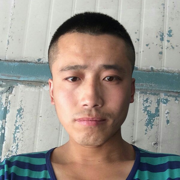寂寞相许灰狼的照片