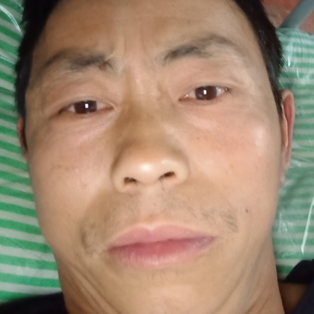 孤独深拥仙人掌的照片