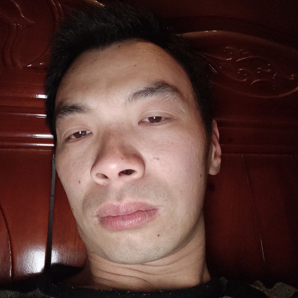沉静多么小海豚的照片