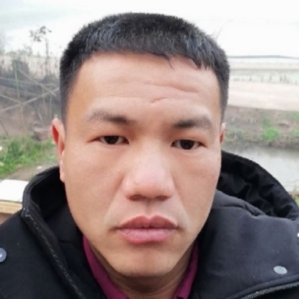 阔达迎仙人掌的照片
