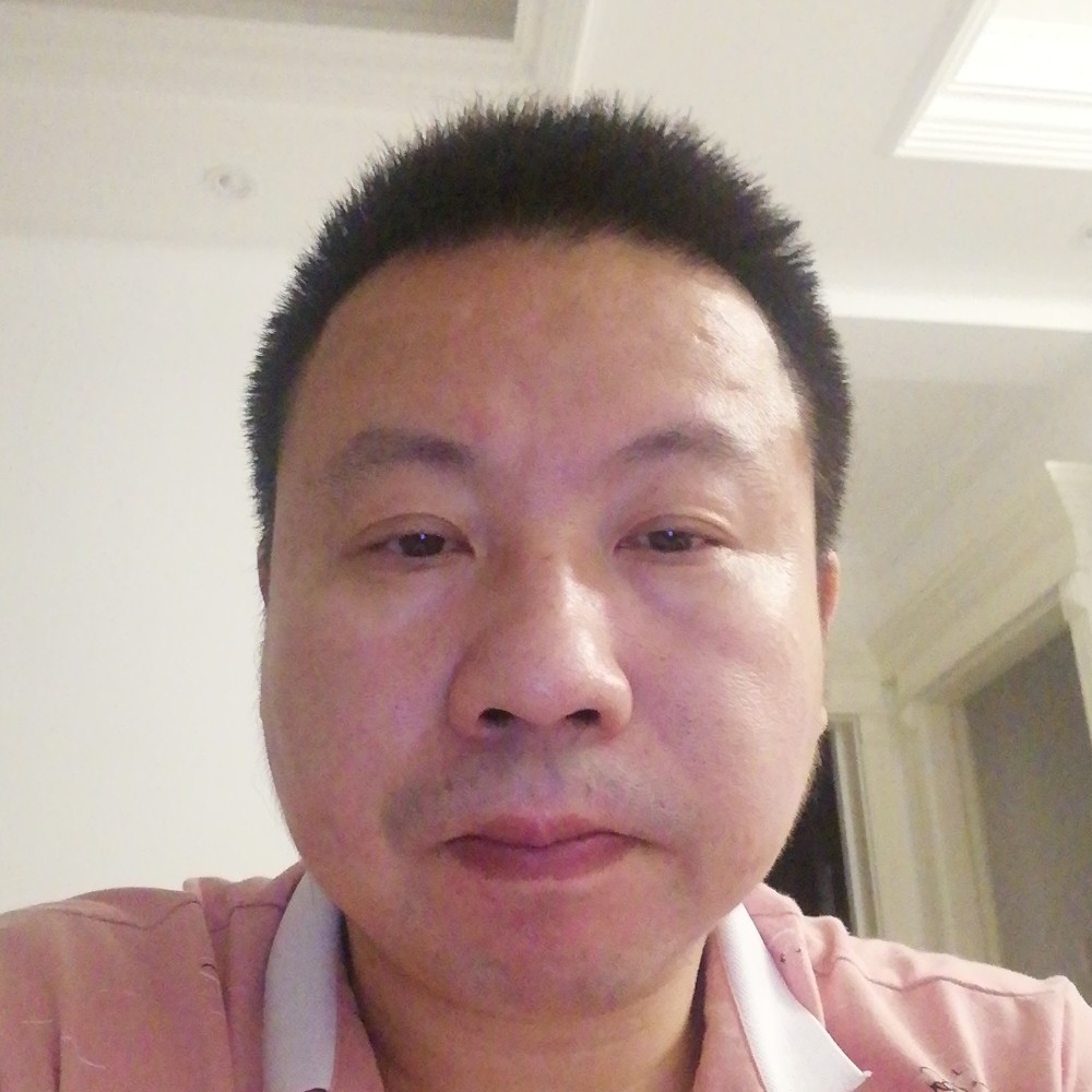 战斗机聪明的照片