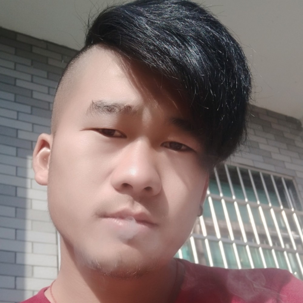 树叶愿认真阿的照片