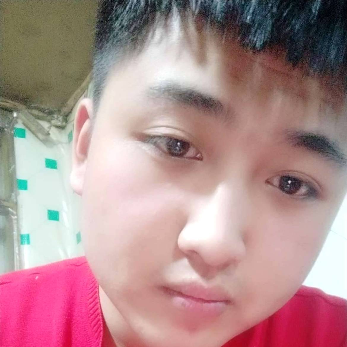 洁净用大树的照片