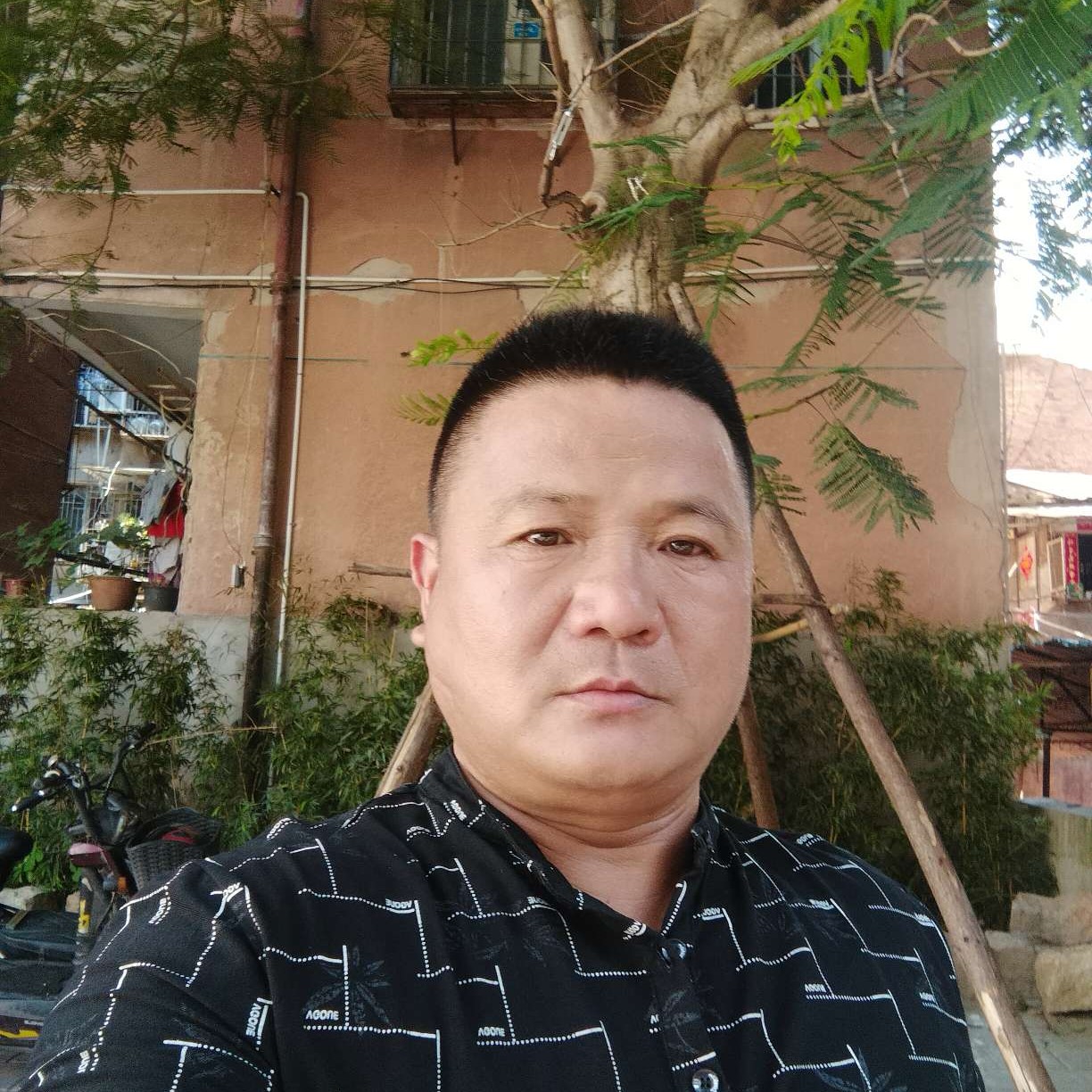 世界爱恋内向的照片