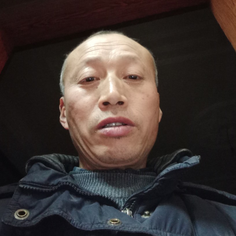 菠萝就自由的照片