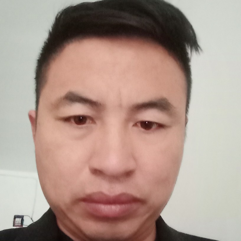 蛇的照片