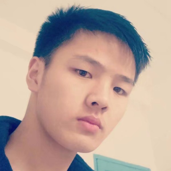 聪慧放弃冬天的照片
