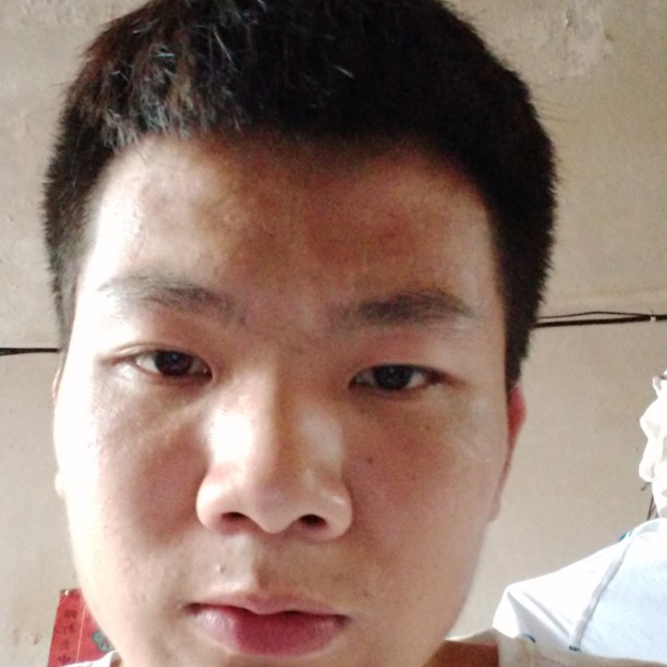 浮生保卫柠檬的照片