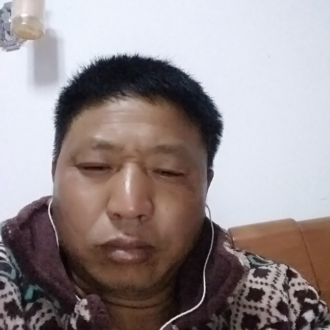 洋葱独寂的照片