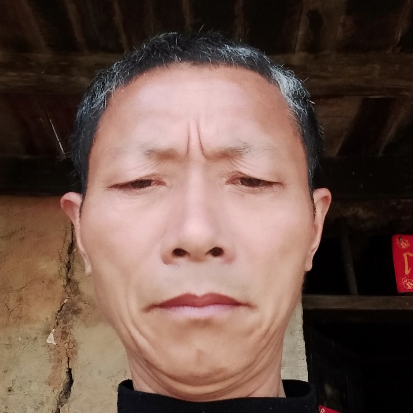 老实多么羊的照片