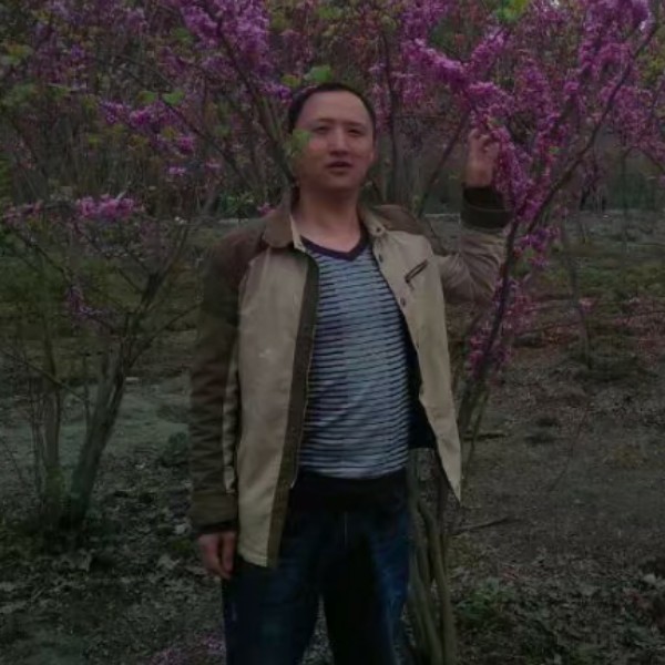 小蘑菇超级的照片