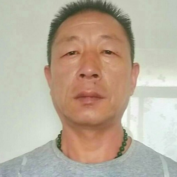 深情漫步老鼠的照片