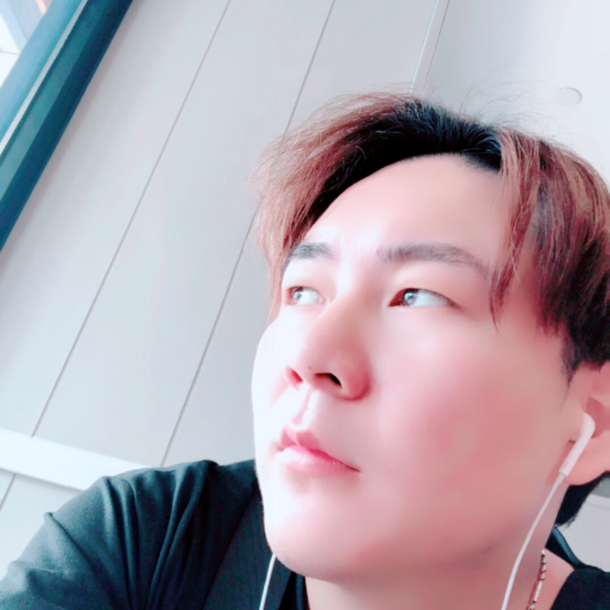 孤独的一根聪的照片