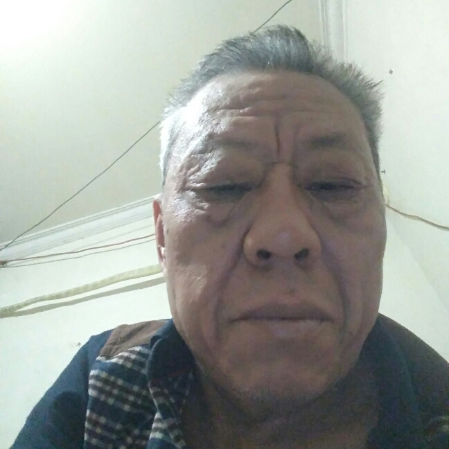 冷面心善仙人掌的照片