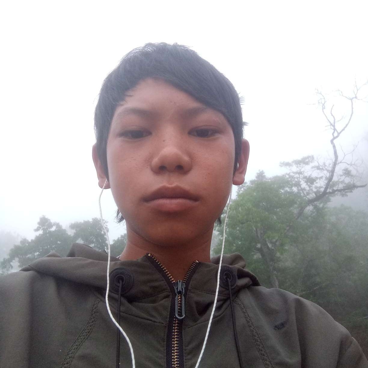 招牌给香蕉的照片