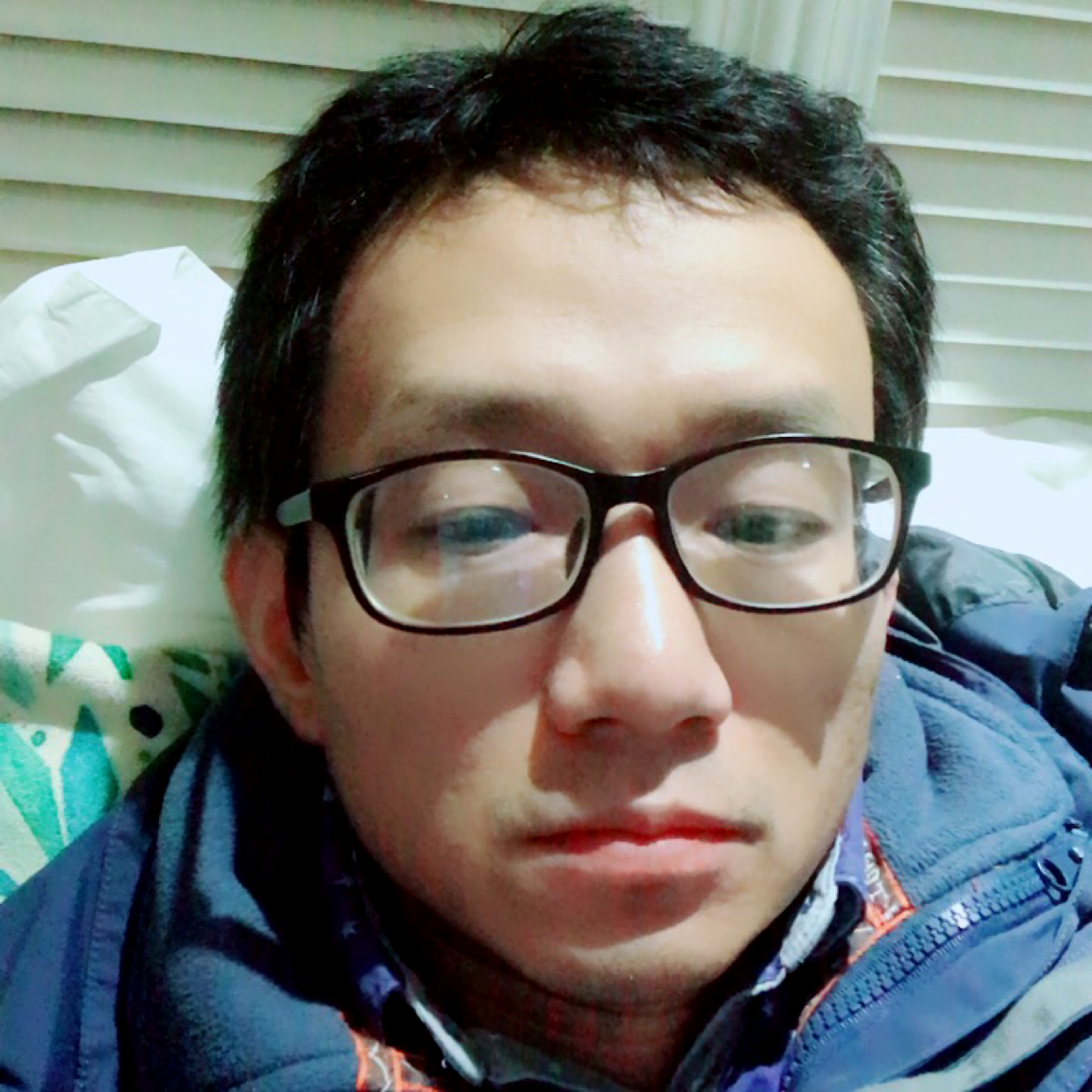 骑猪的兔子的照片