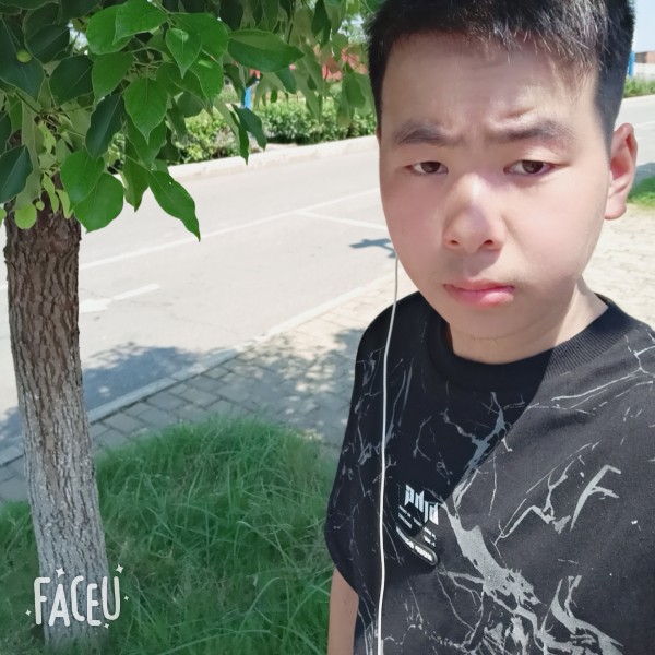 猪，的照片