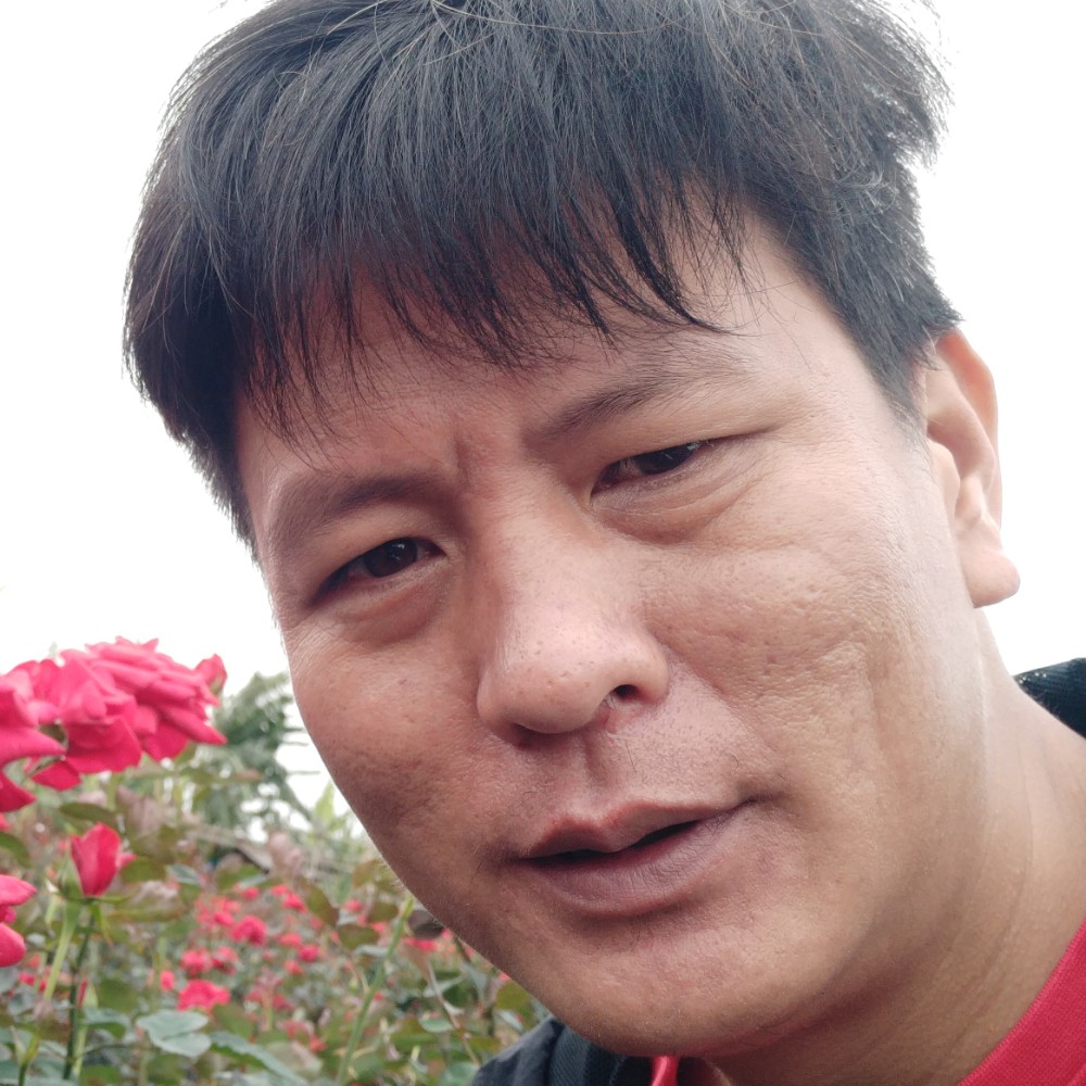人生巅峰13的照片