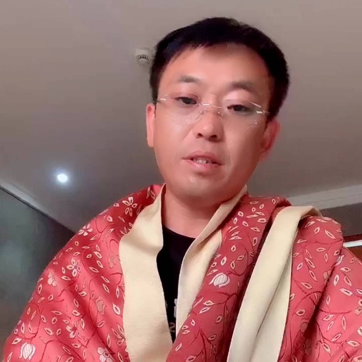 小天鹅漫步甜美的照片
