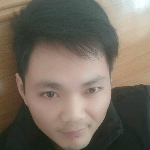 无声的鱼合适的照片