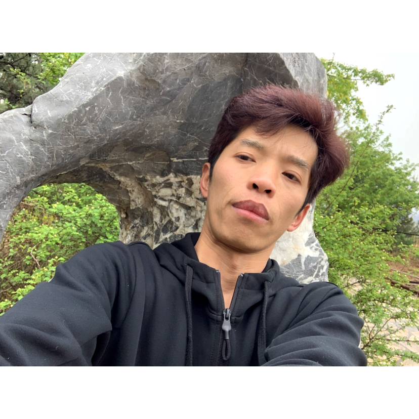 猫咪吃醋安静的照片