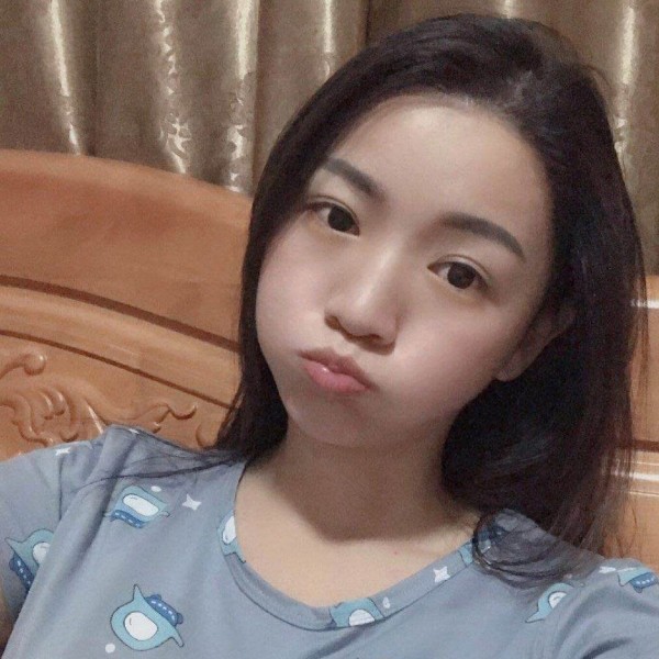 一直流浪的小猫咪的照片