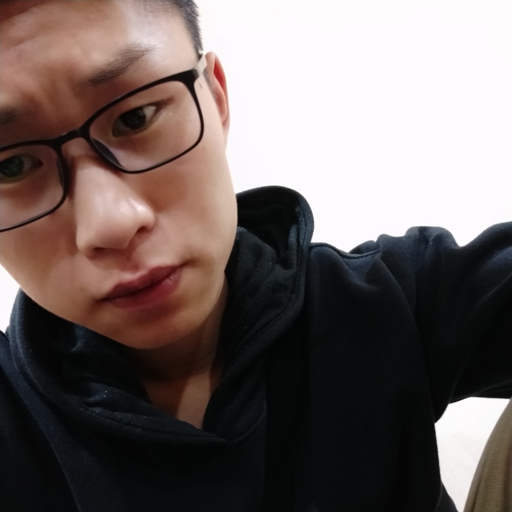 魔法猫咪的照片