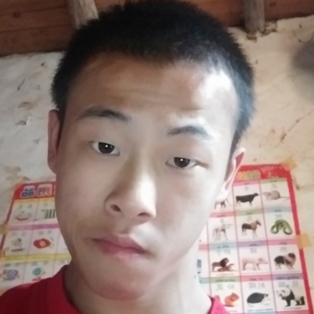 熊熊。的照片