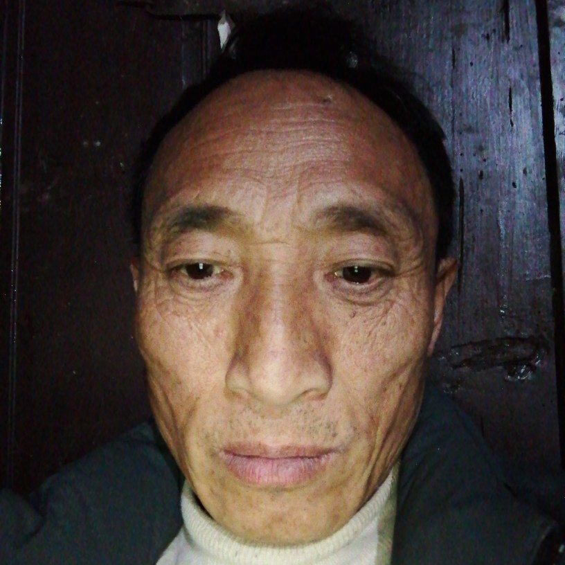 温柔放弃导师的照片