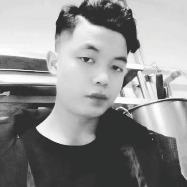 剪影悦耳的照片