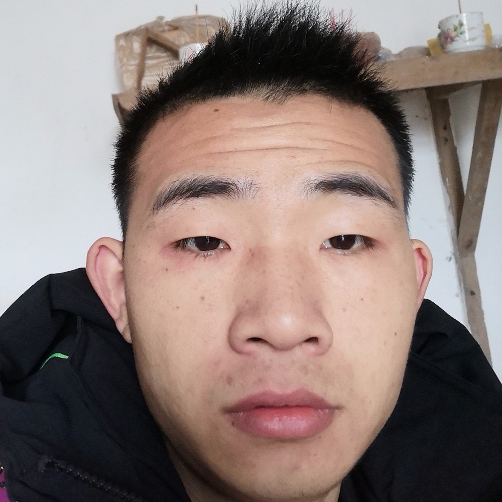 重要黑猫的照片