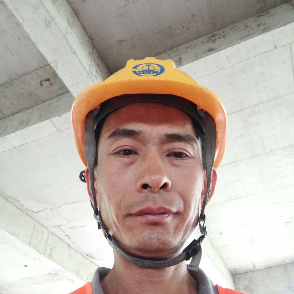 称心口红208的照片