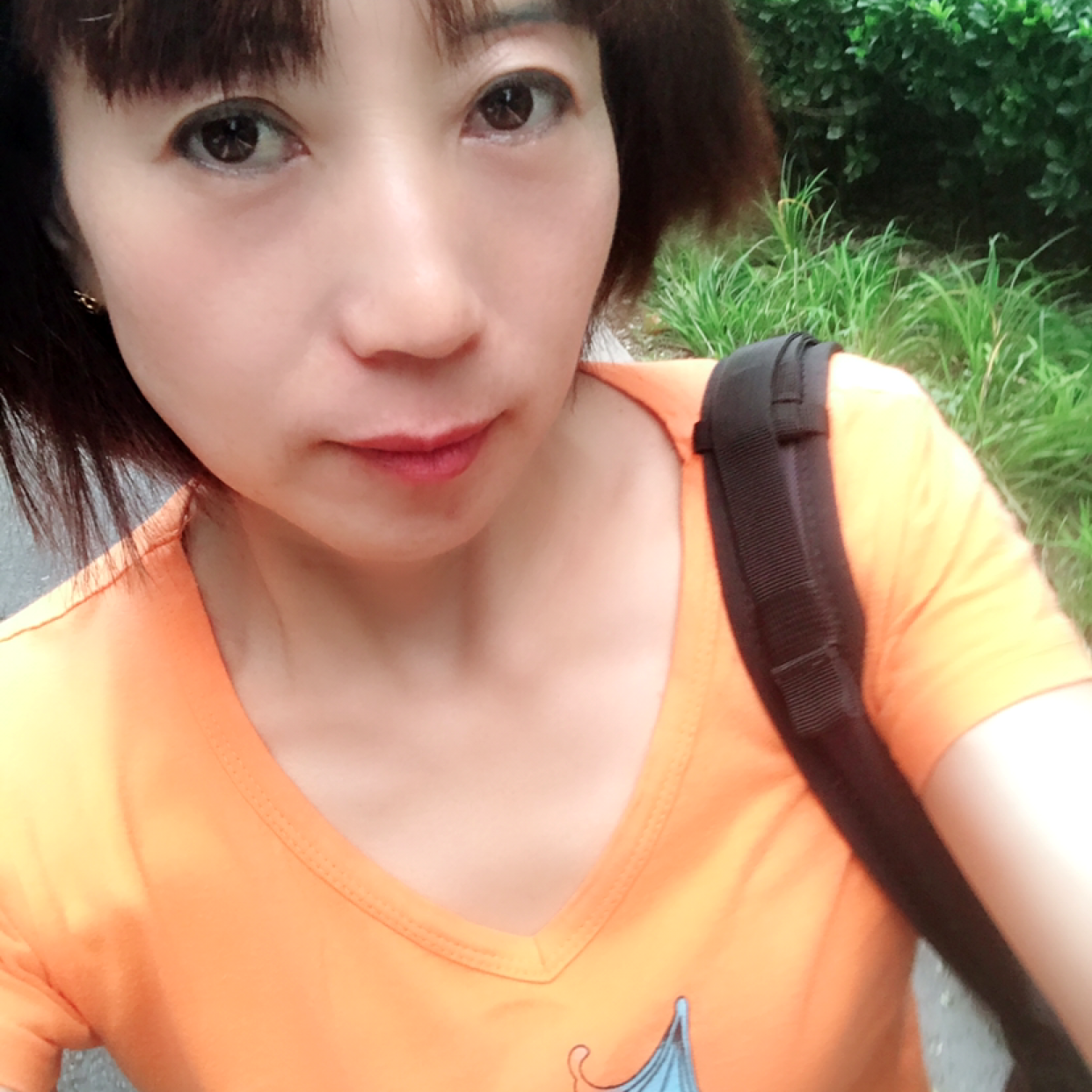 柠檬的照片