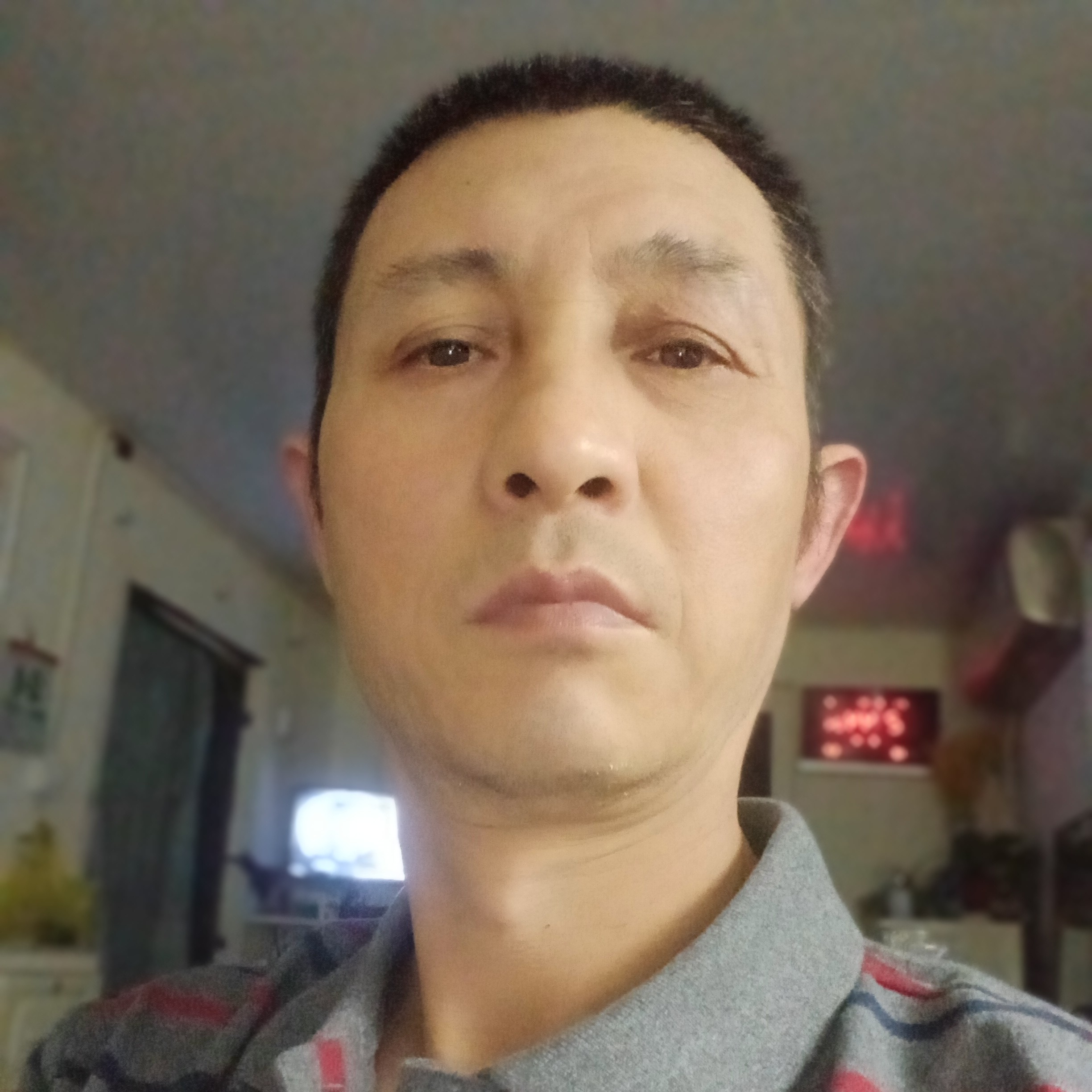 隐忍演变樱桃的照片