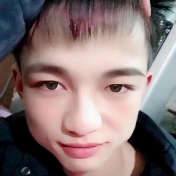 负责演变羊的照片