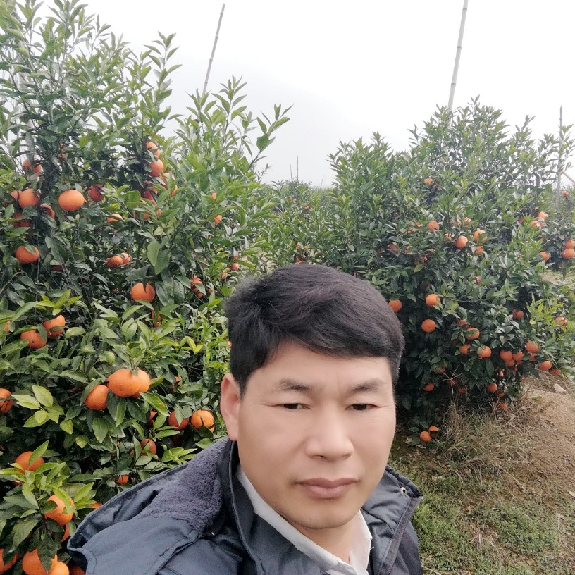 潇洒那白猫的照片