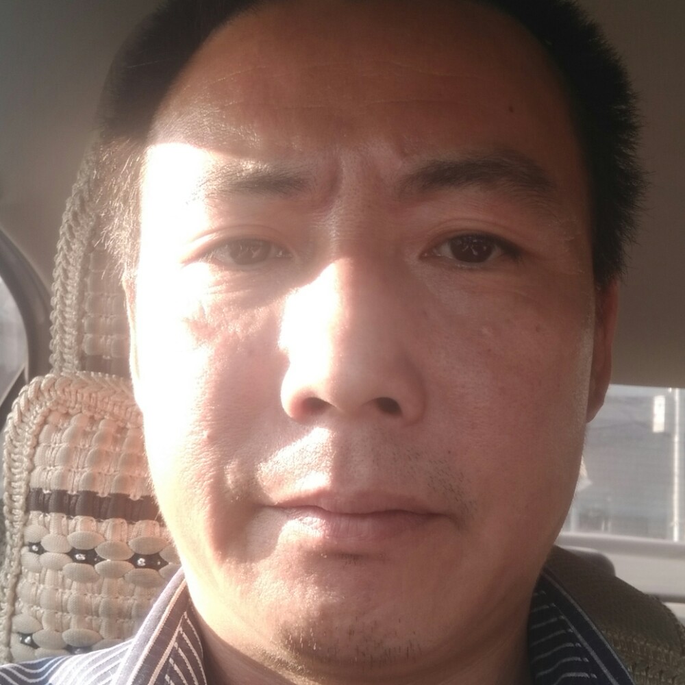 小刺猬邂逅无聊的照片