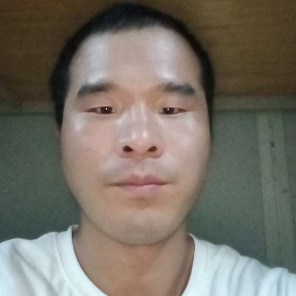 台灯可爱的照片